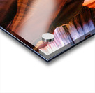 antelope21 Acrylic print