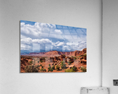 capreef37  Acrylic Print