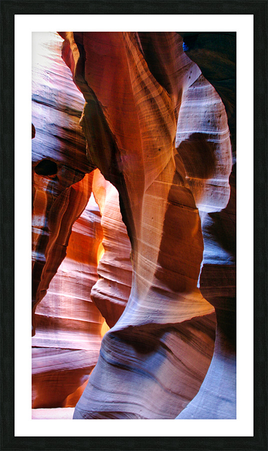 antelope21 Picture Frame print