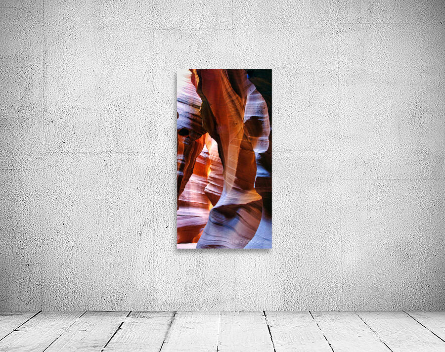 antelope21 Wall Preview