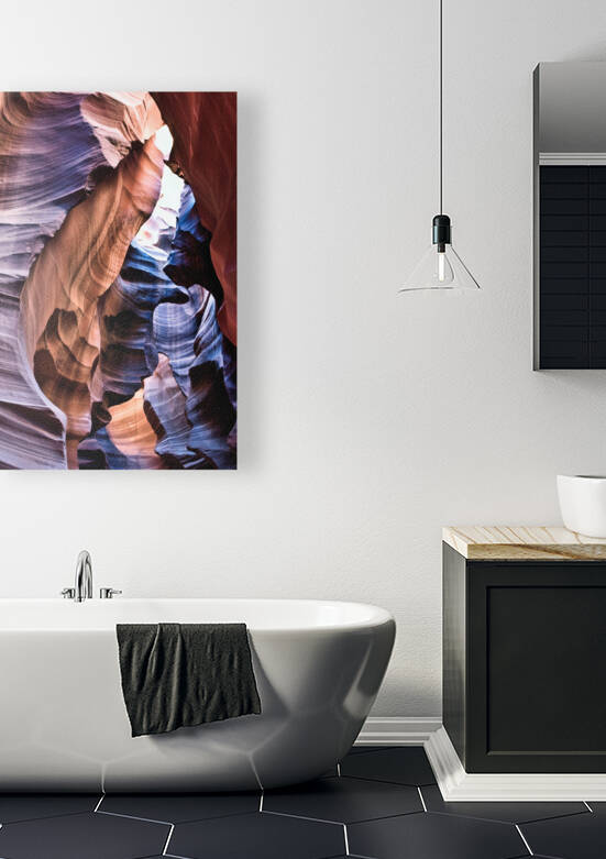 antelope08 by Randall Sackerson