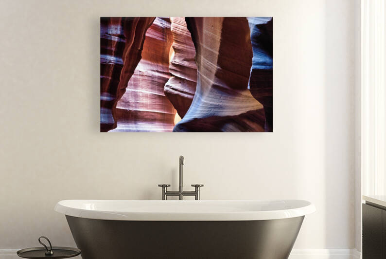 antelope06 by Randall Sackerson