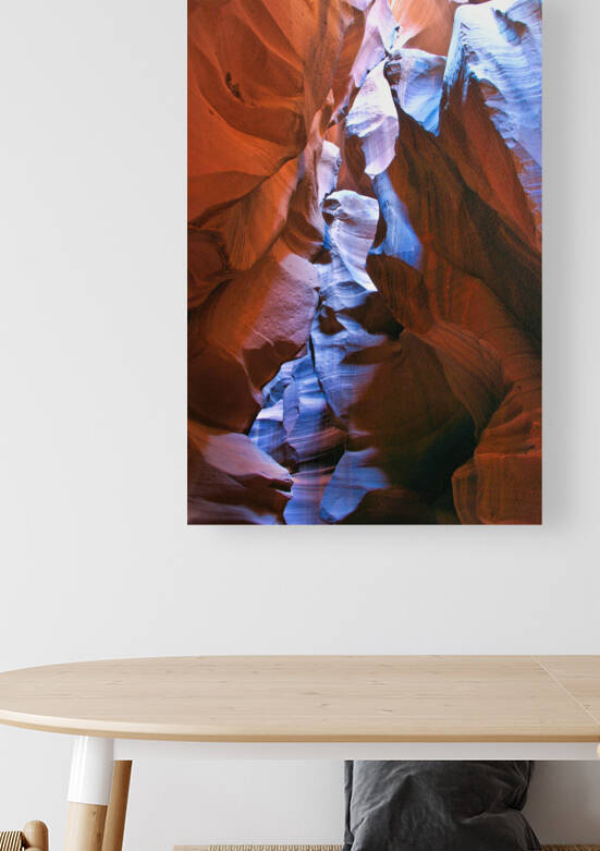 antelope17 by Randall Sackerson