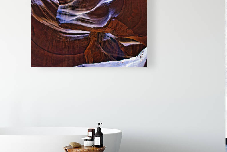 antelope01 by Randall Sackerson