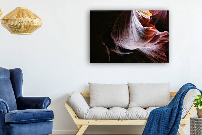 antelope15 by Randall Sackerson