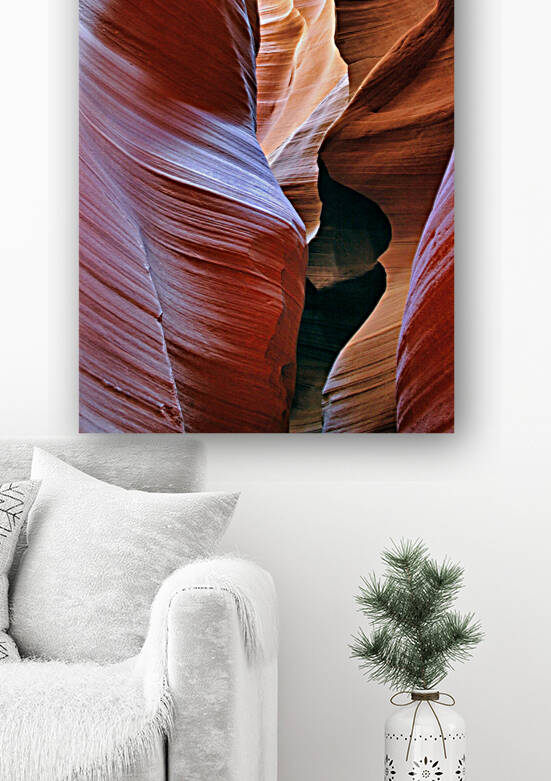 antelope12 by Randall Sackerson