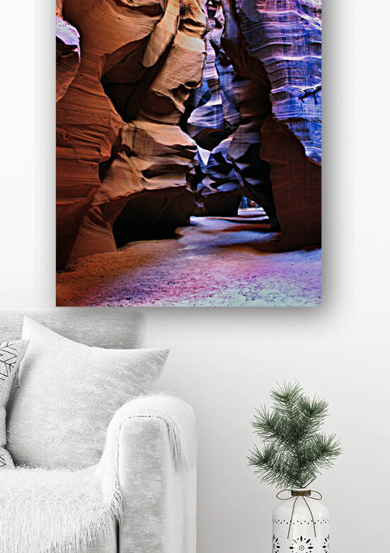 antelope19 by Randall Sackerson