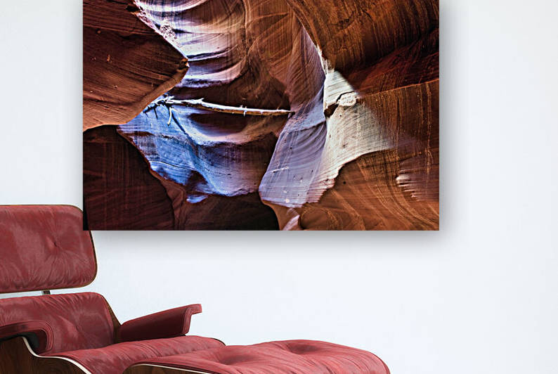 antelope03 by Randall Sackerson