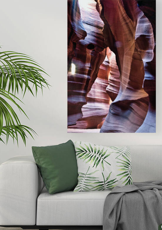 antelope05 by Randall Sackerson