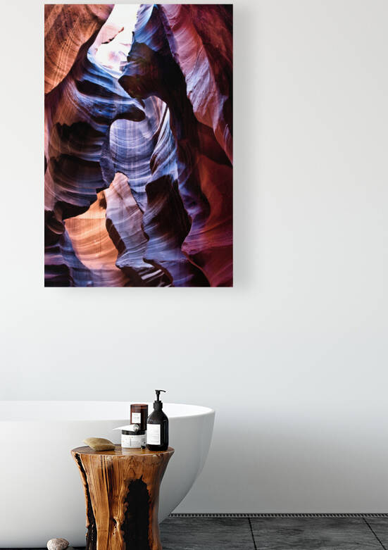 antelope07 by Randall Sackerson