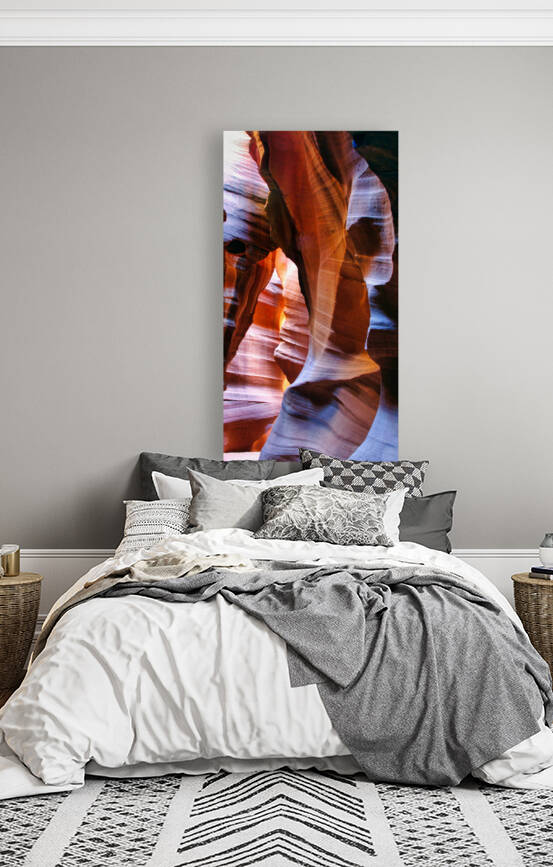 antelope21 by Randall Sackerson