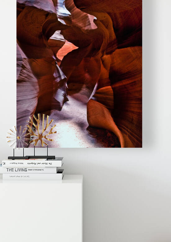 antelope10 by Randall Sackerson