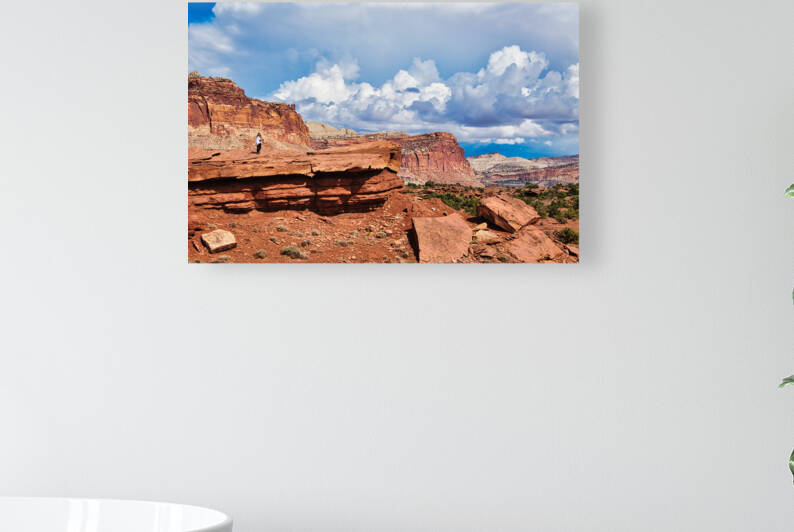 capreef38 by Randall Sackerson