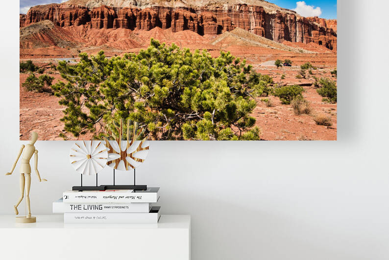 capreef46 by Randall Sackerson