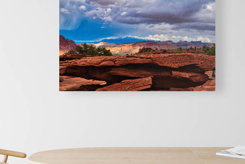 capreef51 by Randall Sackerson