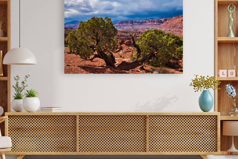 capreef39 by Randall Sackerson