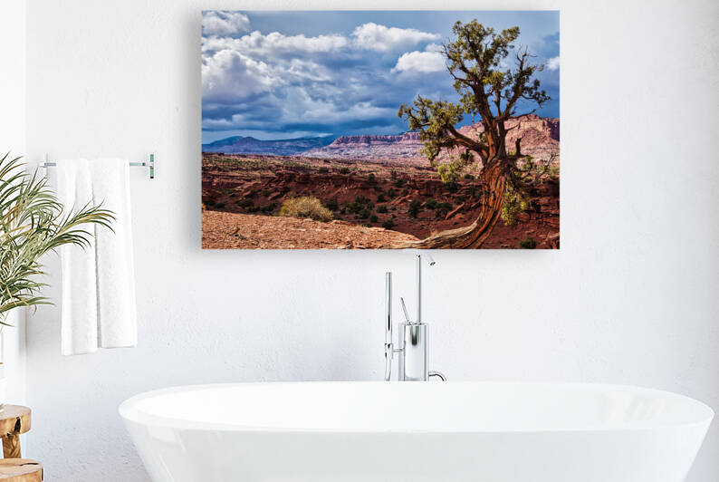 capreef43 by Randall Sackerson