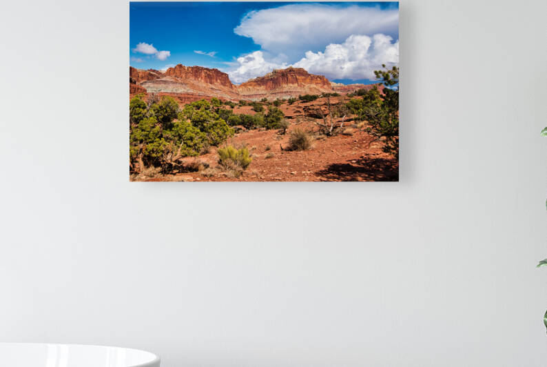 capreef47 by Randall Sackerson