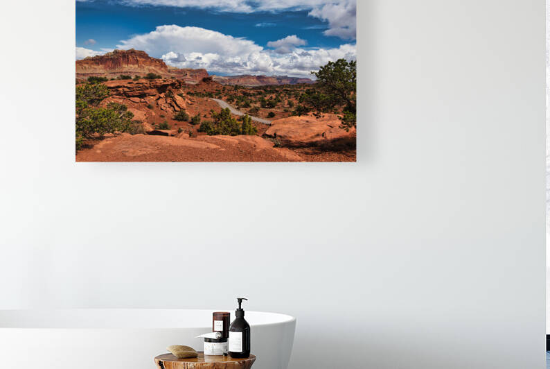 capreef32 by Randall Sackerson