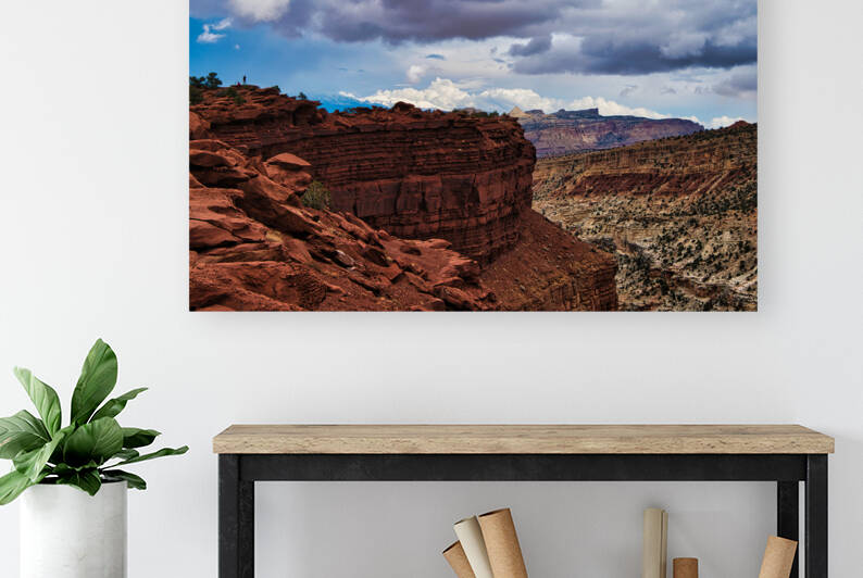 capreef49 by Randall Sackerson