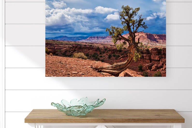 capreef41 by Randall Sackerson