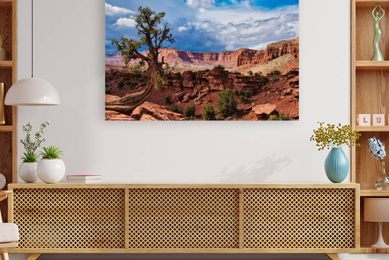 capreef42 by Randall Sackerson