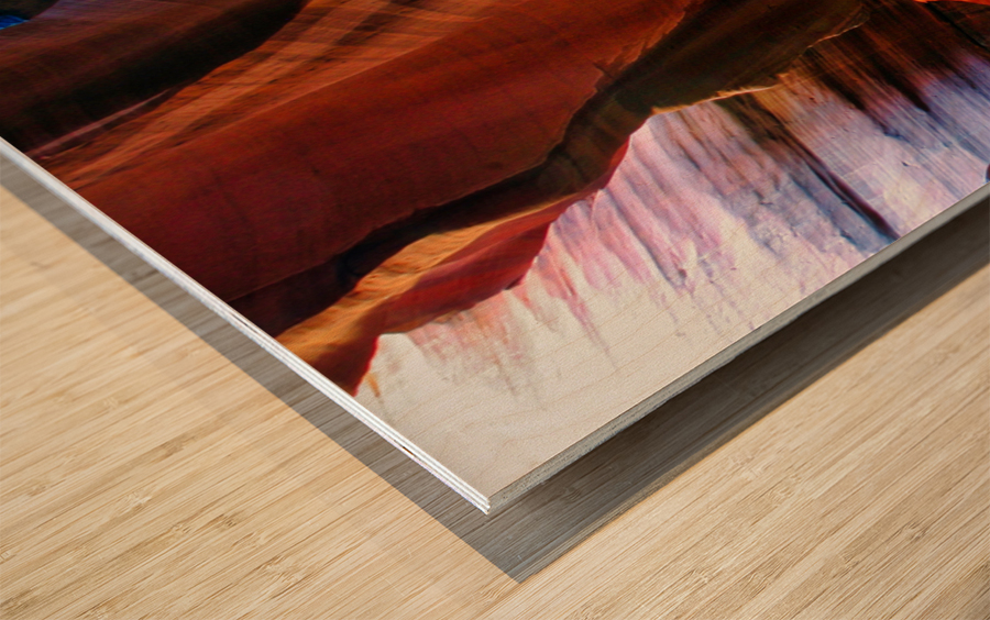 antelope21 Wood print